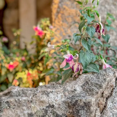 Petra Maris Luxury * Santa Teresa Gallura