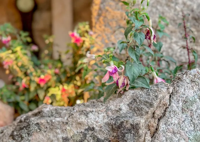 Petra Maris Luxury 3* Santa Teresa Gallura